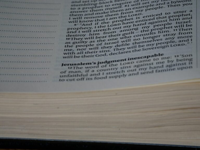 crypto will fade - a close up of an open book on a table