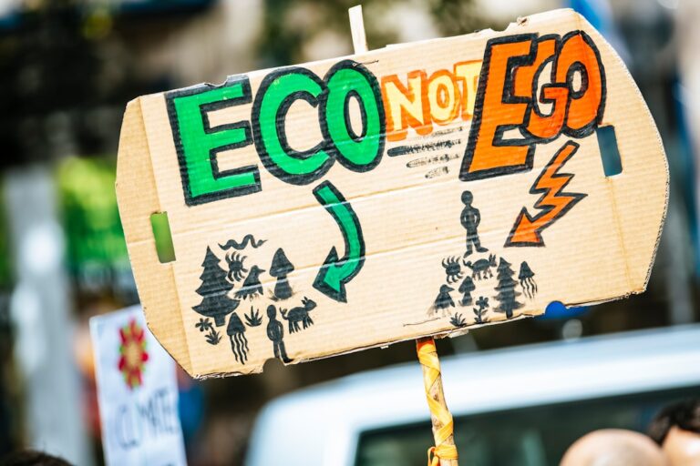 financial transition planning - person holding Eco Not Ego signage