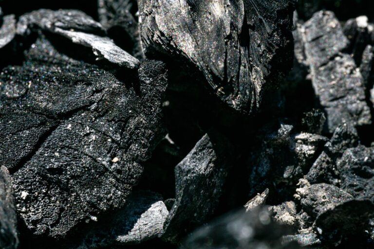 jpmorgan carbon removal - a black and white photo of rocks and dirt