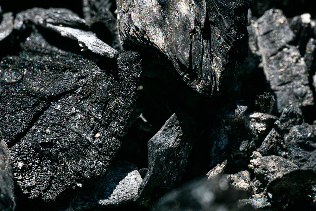 jpmorgan carbon removal - a black and white photo of rocks and dirt