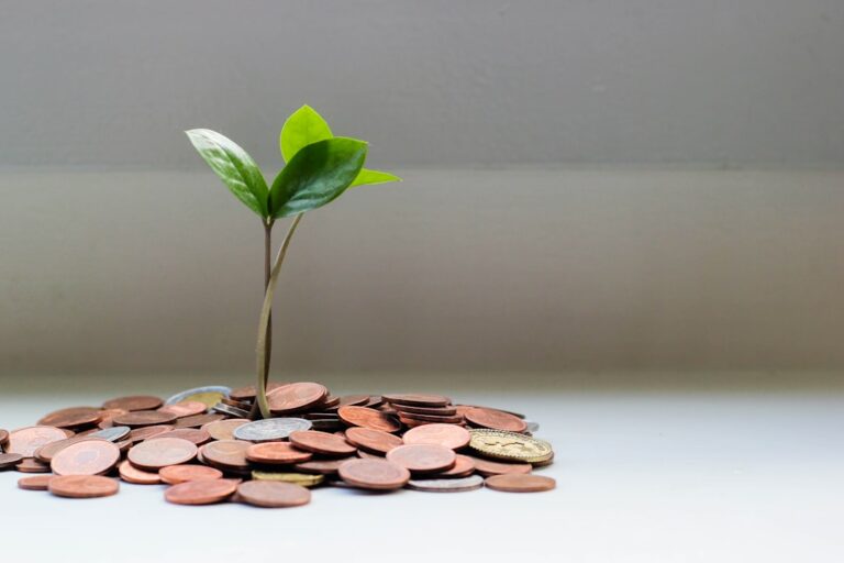 anthropic ai model - green plant on brown round coins