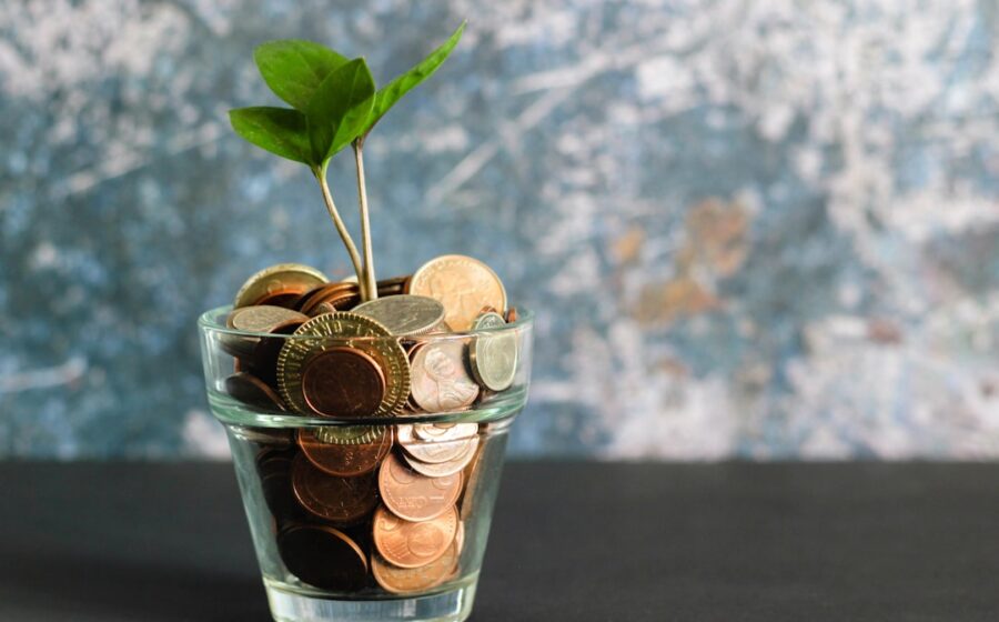 bank branch closures - green plant in clear glass vase