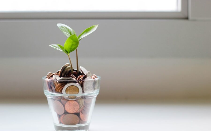 prevent family drama - green plant in clear glass cup