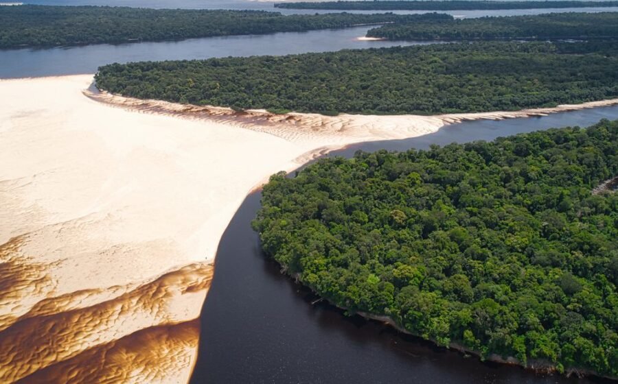s&p 500 profit growth - Stunning aerial view of sandbanks and lush forest in Barcelos, Brazil.