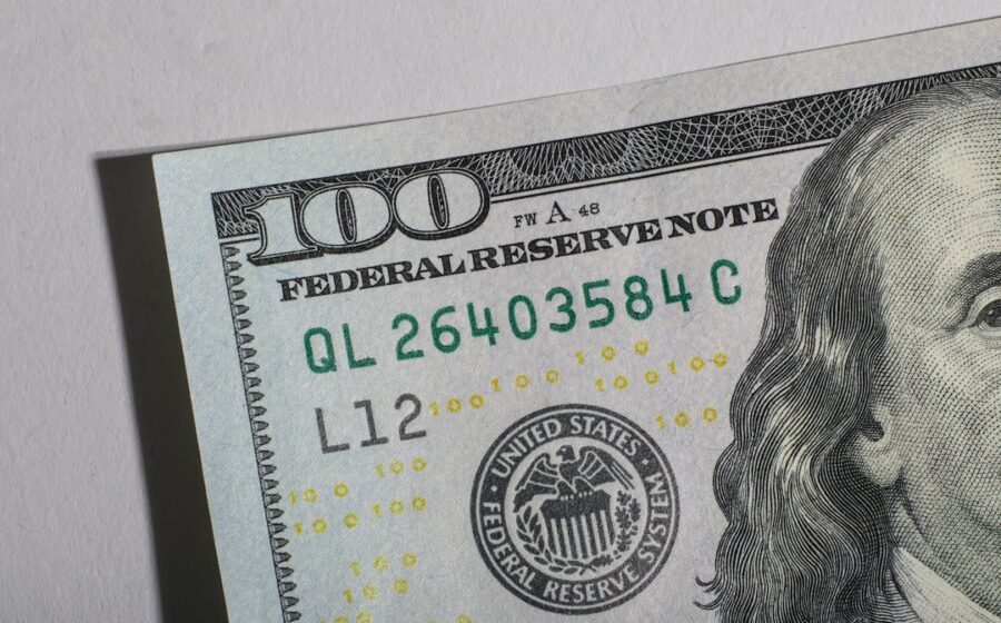 treasury department activism - Close-up of a one hundred dollar bill